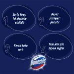 Domestos Sıvı Tuvalet Temizleyici 2 X 750 Ml