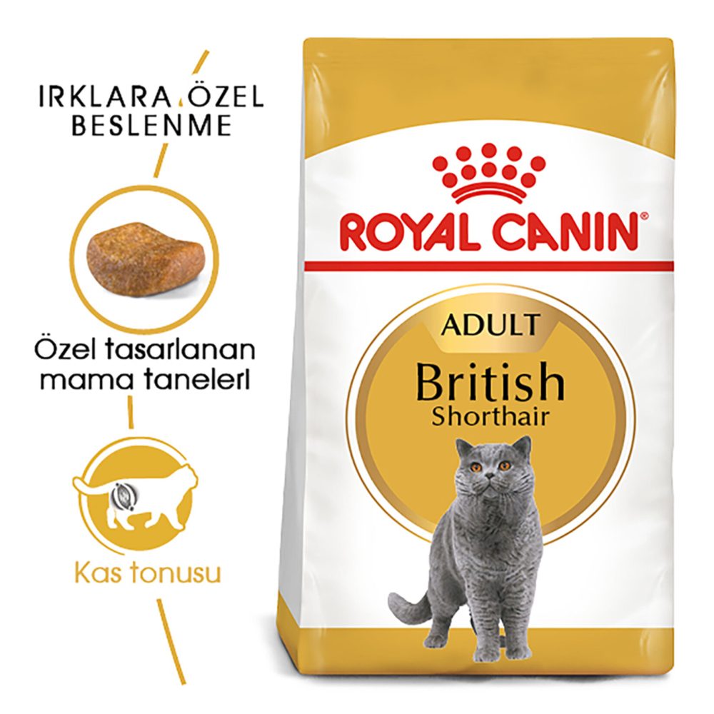 Royal Canin British Shorthair Kuru Kedi Mama 4 Kg