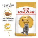 Royal Canin British Shorthair Kuru Kedi Mama 4 Kg