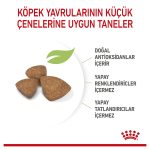 Royal Canin Küçük Irk Yavru Köpek Maması 1.5 Kg
