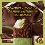 Magnum Signature Antep Fıstığı 90 Ml