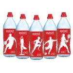 Hayat Su 750 Ml