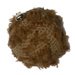 KFG Pet Oyun Topu - Kuzucuk
