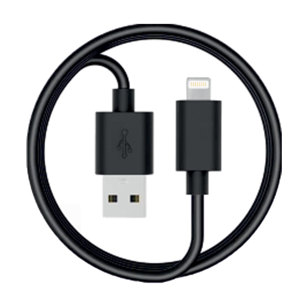 i'think Gold Çift Usb Araç Şarjı + Lightning Kablo A50A