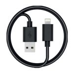 i'think Gold Çift Usb Araç Şarjı + Lightning Kablo A50A