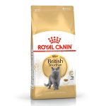 Royal Canin British Shorthair Kuru Kedi Mama 4 Kg