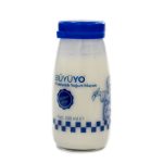 Büyüyo Probiyotik Yoğurt Mayası 250 Ml