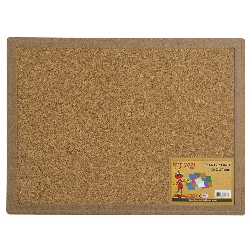 Ant Mantar Pano 30X40cm