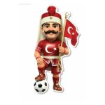 Delux Milli Takım Dekor Süs Seti