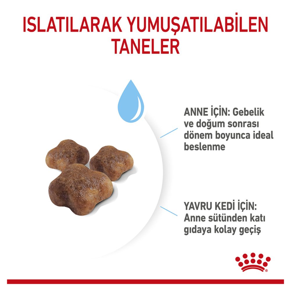 Royal Canin Anne ve Yavru Kedi İçin Kuru Mama 4 Kg