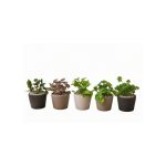 Objevi Soft Yapraklar Yapay 17 Cm