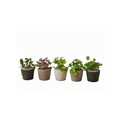 Objevi Soft Yapraklar Yapay 17 Cm
