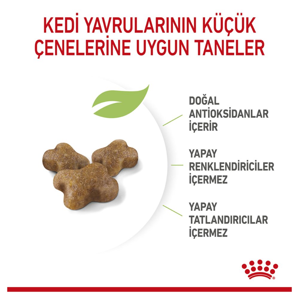 Royal Canin Yavru Kediler İçin Kuru Kedi Mama 10 Kg