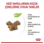 Royal Canin Yavru Kediler İçin Kuru Kedi Mama 10 Kg