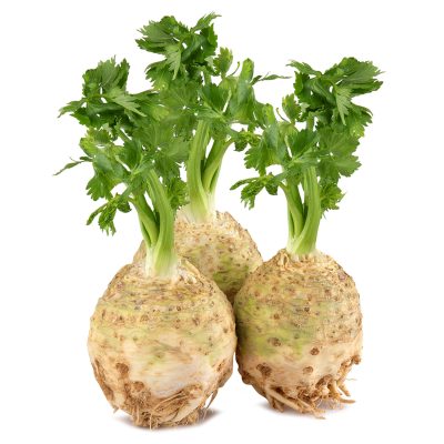 Kereviz Kg