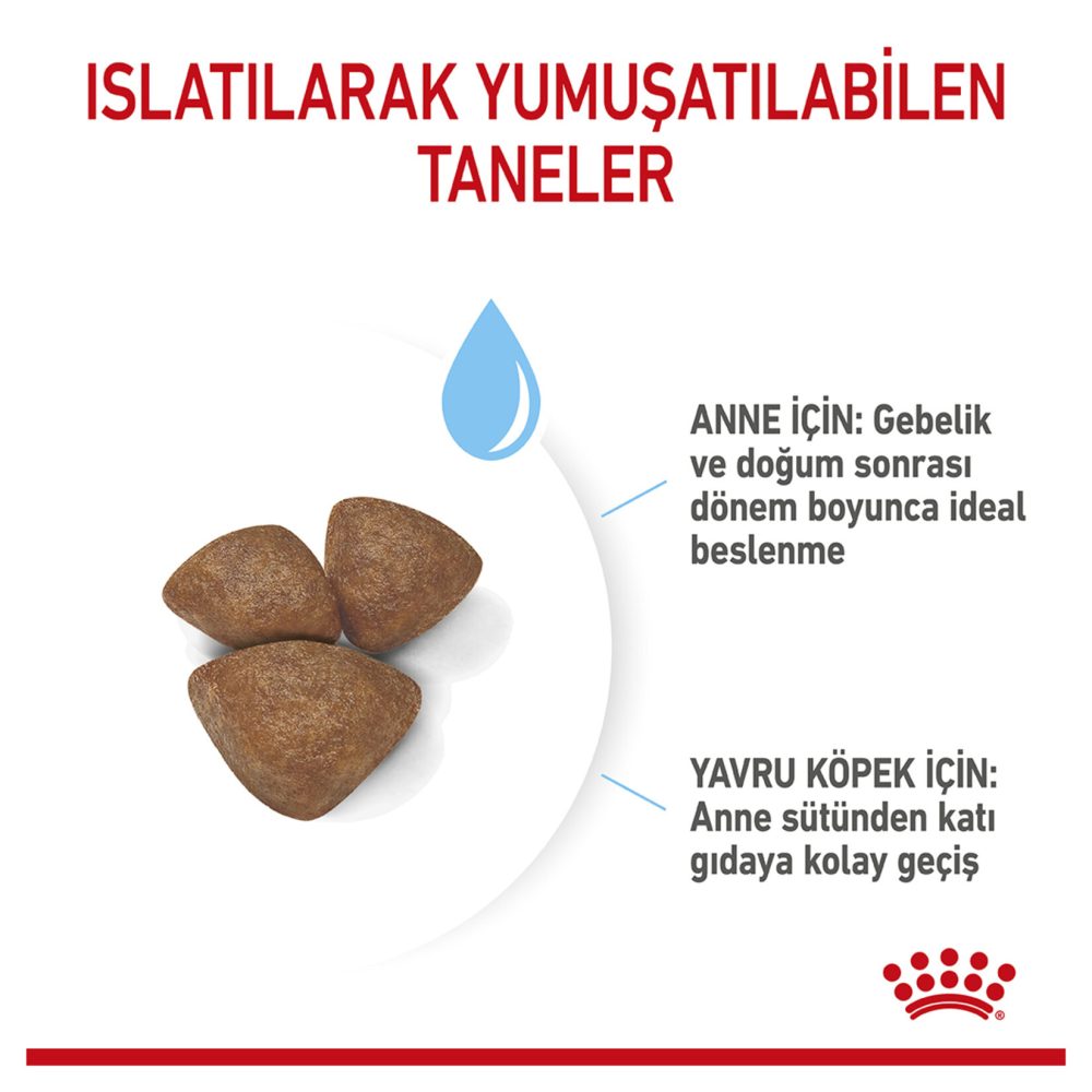 Royal Canin Anne ve Yavru Köpekler İçin Mama 4 Kg