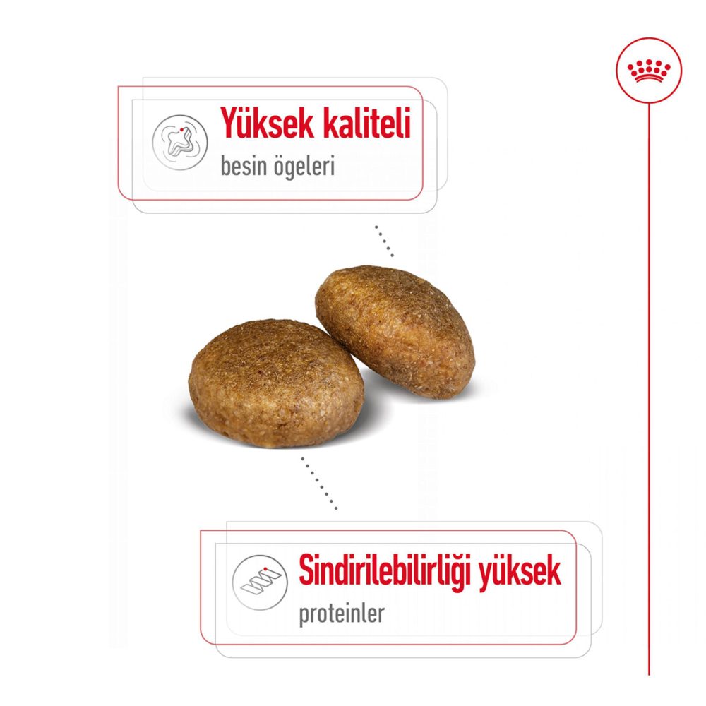 Royal Canin Büyük Irklar İçin Kuru Maması 15 Kg