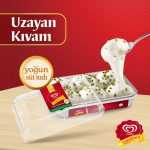 Algida Maraş Usulü Sade Dondurma 500 Ml