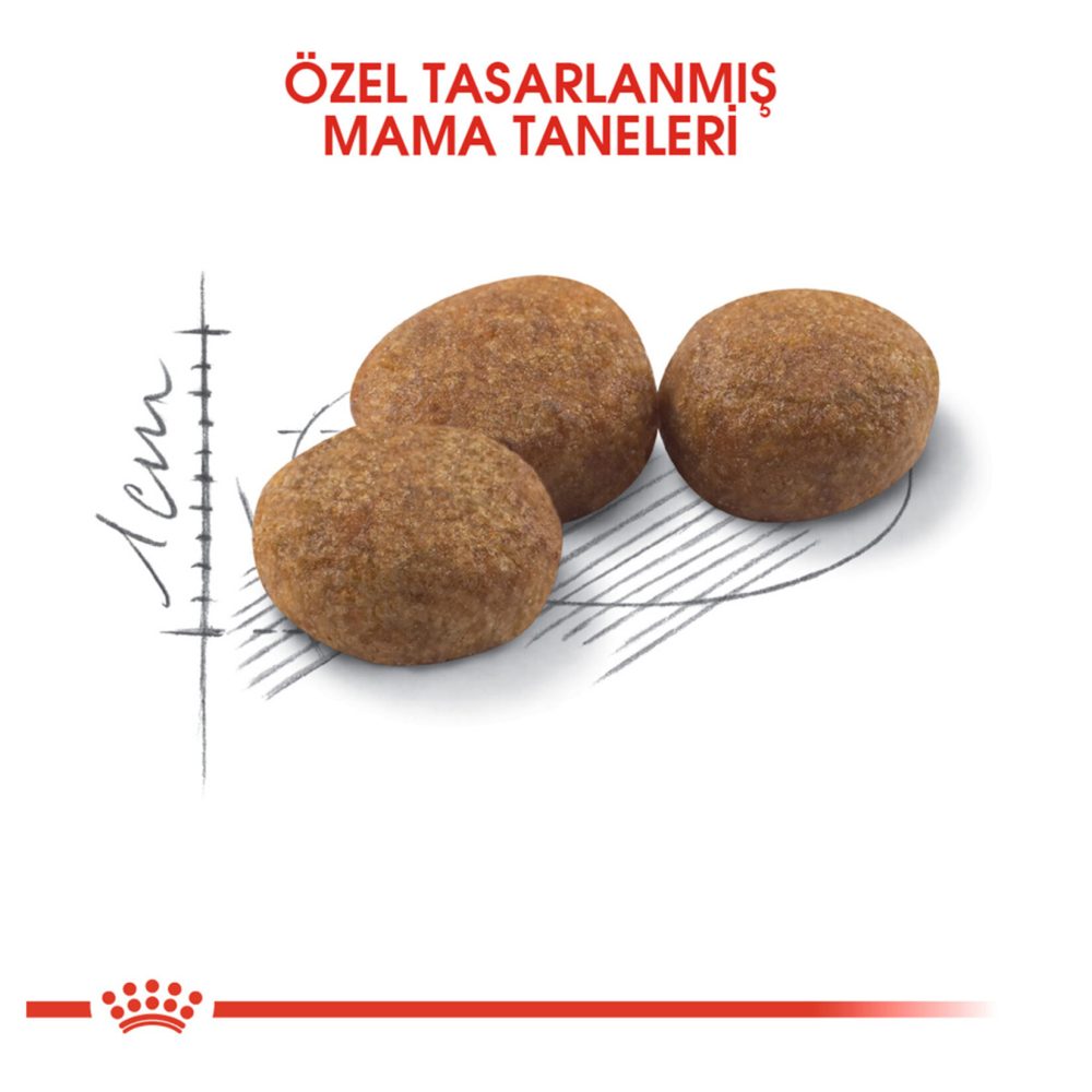 Royal Canin Kısırlaştırılmış Kedi Maması 15 Kg