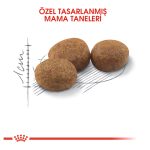 Royal Canin Kısırlaştırılmış Kedi Maması 15 Kg