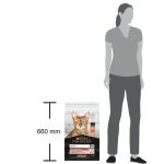 Proplan Yetişkin Kedi Somonlu Mama 10 Kg
