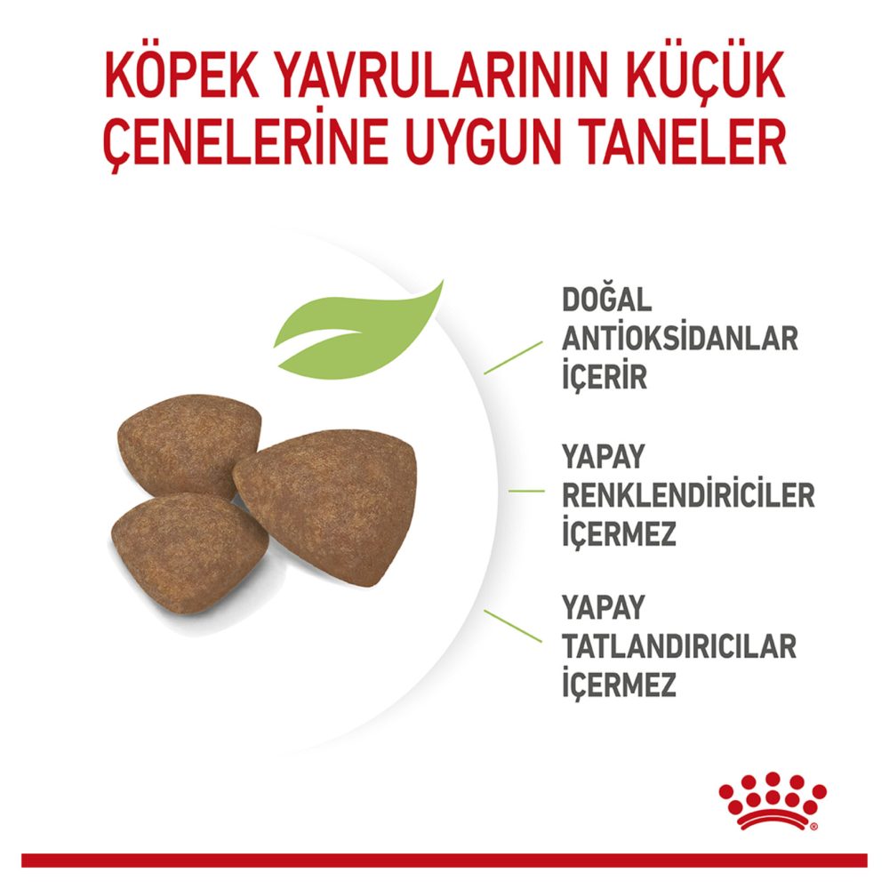 Royal Canin Küçük Irk Yavru Kuru Köpek Maması 4 Kg