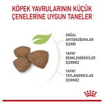 Royal Canin Küçük Irk Yavru Kuru Köpek Maması 4 Kg