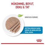 Royal Canin Anne Yavru Köpekler İçin Konserve 195 G