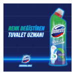 Domestos Tuvalet Temizleyici Çamaşır Suyu 750 ML