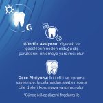 Sıgnal Çürüklere Karşı Nane Ferahlığı 100 Ml