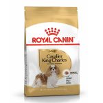 Royal Canin King Charles Kuru Köpek Maması 1.5 Kg