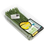Soğan Frenk - Şiniklav 25 G