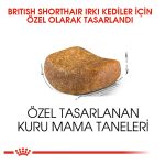 Royal Canin British Shorthair Kuru Kedi Mama 4 Kg