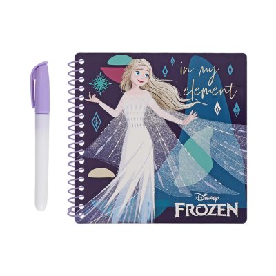 Frocx Disney Frozen Magic Sulu Boyama Seti