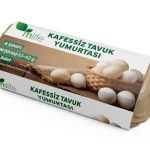 M Life Kafessiz M Boy Tavuk Yumurtası 10'lu 53-62 G