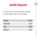 Royal Canin Büyük Irklar İçin Kuru Maması 15 Kg