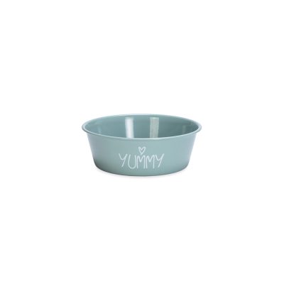 Beeztees Yavru Köpek Mama Su Kabı Turkuaz 13Cm