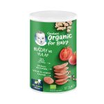 Gerber Organik Buğdaylı Yulaflı Kraker 35 G
