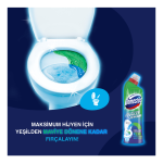 Domestos Tuvalet Temizleyici Çamaşır Suyu 750 ML
