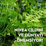NIVEA 3'ü1 Arada Canlandırıcı Makyaj Temizleme Mendilleri Normal ve Karma Ciltler 25 Adet