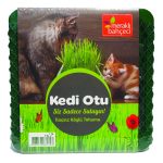 Eden Zirai Kedi Otu Yetiştirme Seti