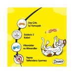 Dreamies Somonlu Kedi Ödül Maması 60 G