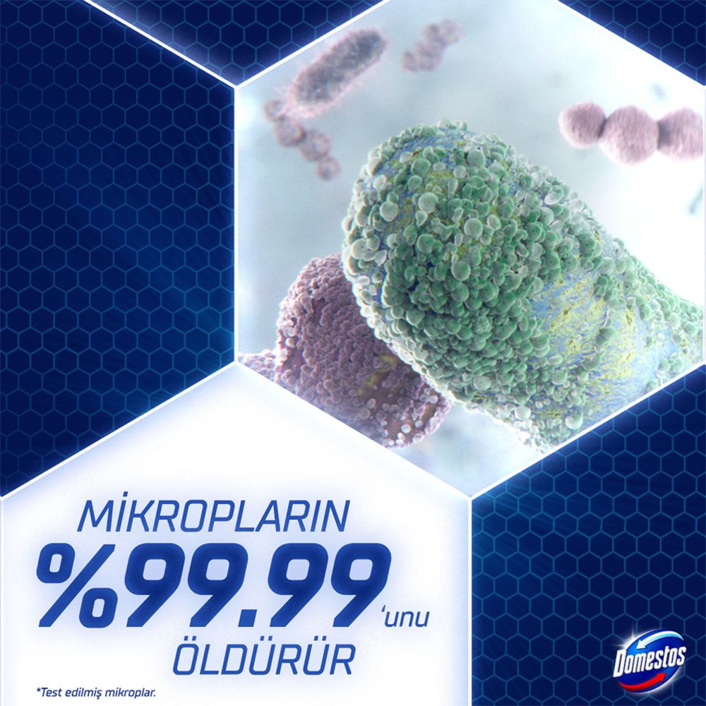Domestos Köpük Çam 450 Ml + Domestos Dağ Esintisi 750 Ml