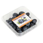 Excelente Blueberry 125 G