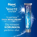 Signal White System Diş Macunu 75 Ml
