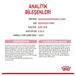 Royal Canin Yavru Kediler İçin Kuru Kedi Mama 10 Kg