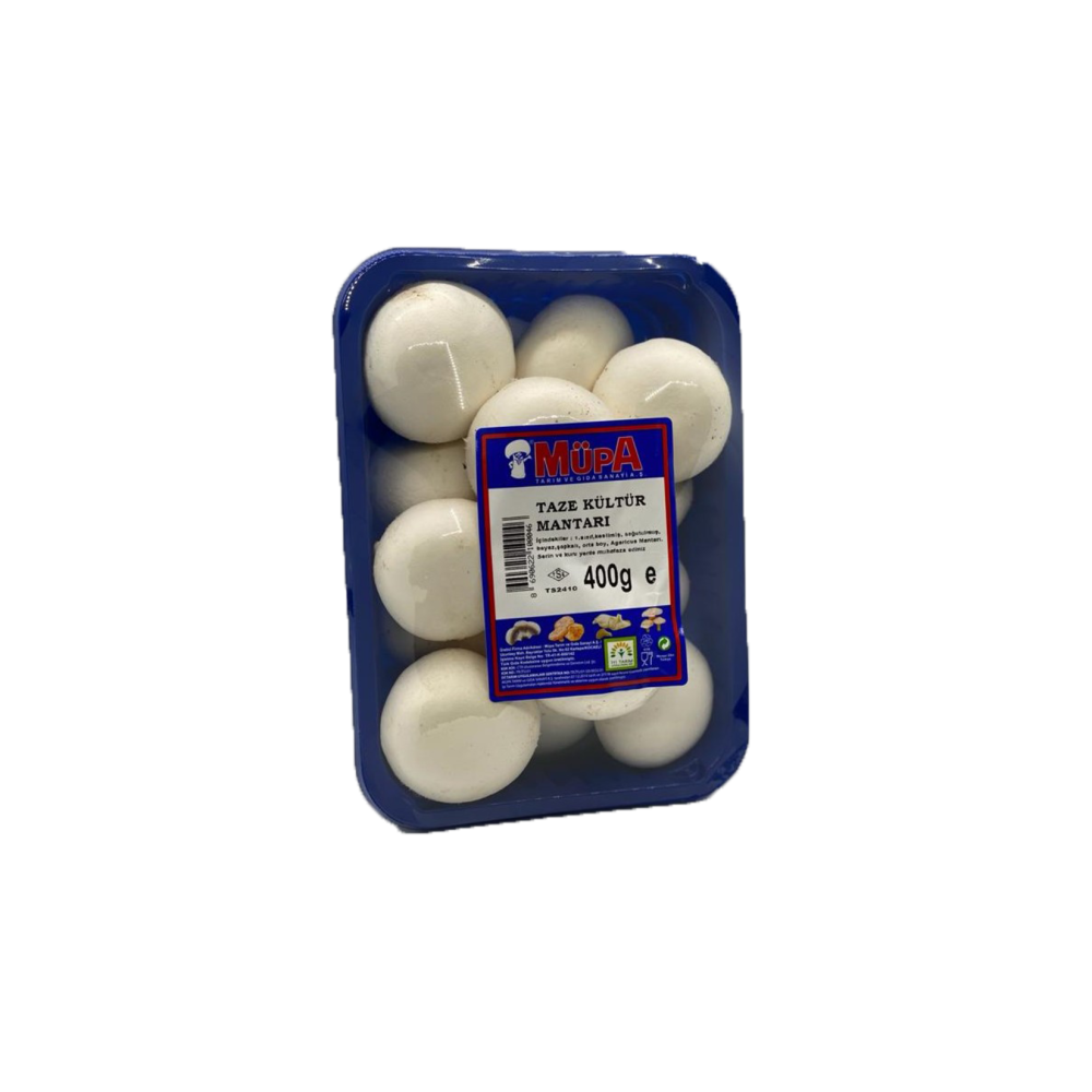 Kültür Mantarı 400 G