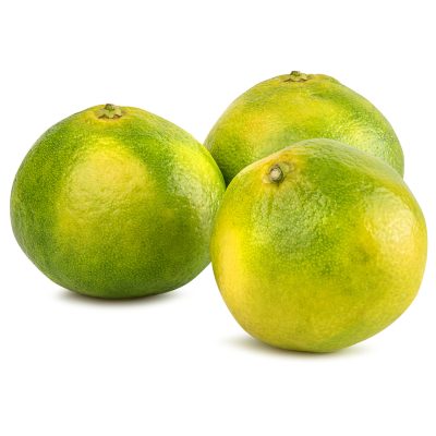 Mandalina Naturel Kg