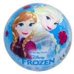 Disney Lisanslı 14 Cm Top