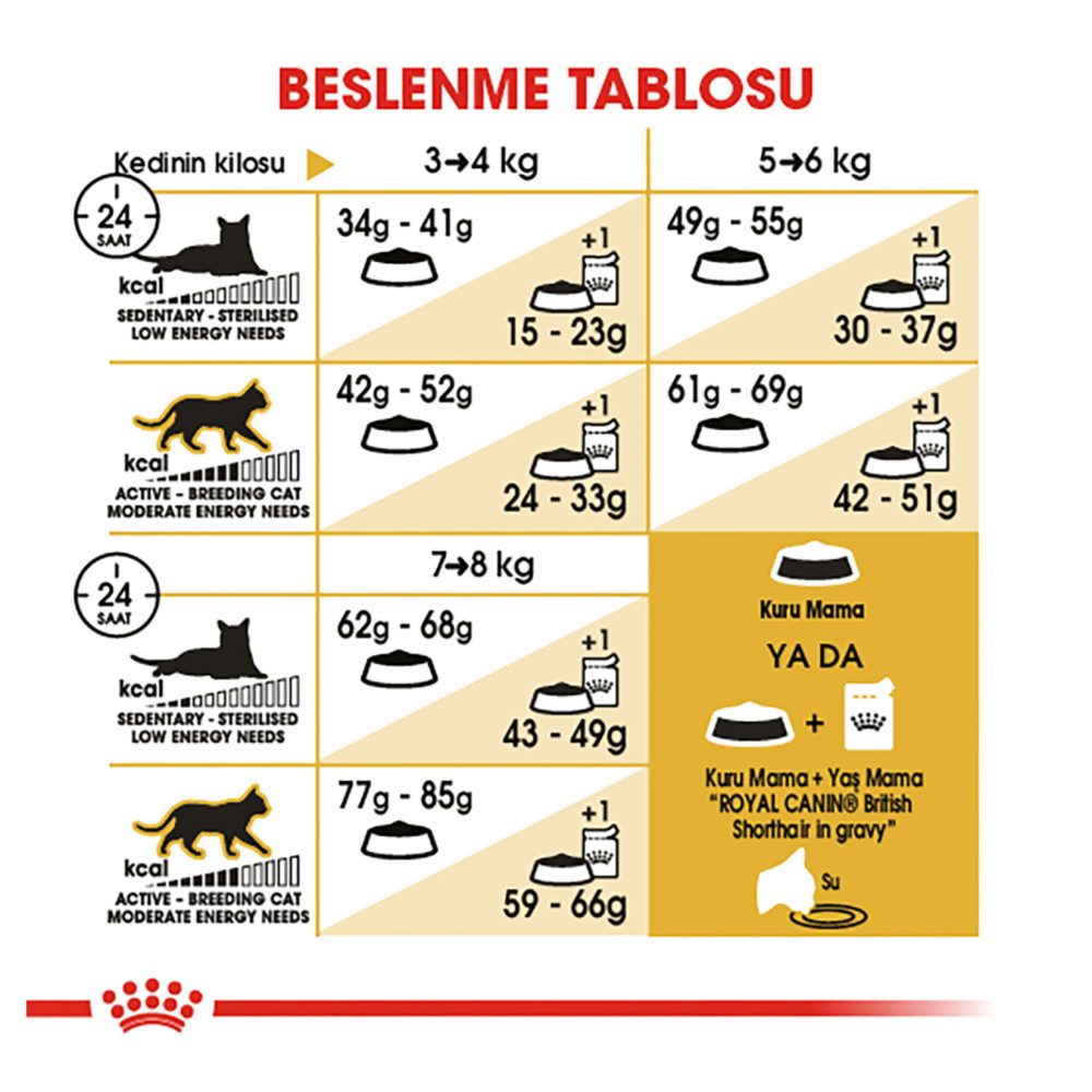 Royal Canin British Shorthair Kuru Kedi Mama 4 Kg